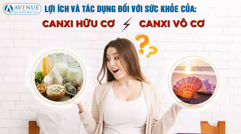  So sánh Canxi Hữu Cơ và Canxi Vô Cơ: Lợi Ích và Tác Dụng Đối Với Sức Khỏe