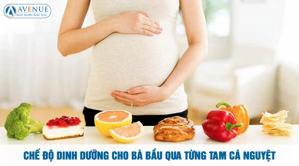 Chế Độ Dinh Dưỡng Cho Bà Bầu Qua Từng Tam Cá Nguyệt